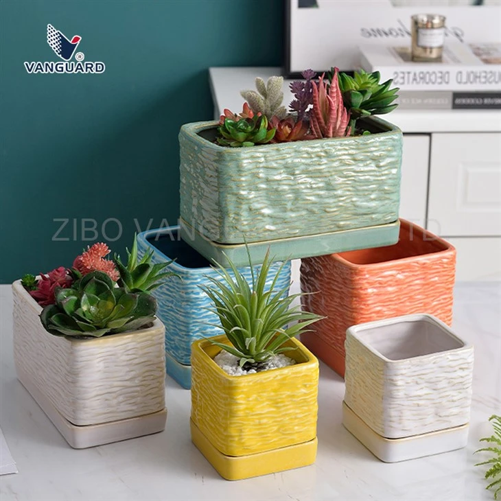 Square Succulent Flower Pot